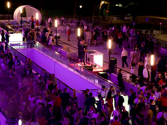 Descripción de la imagen